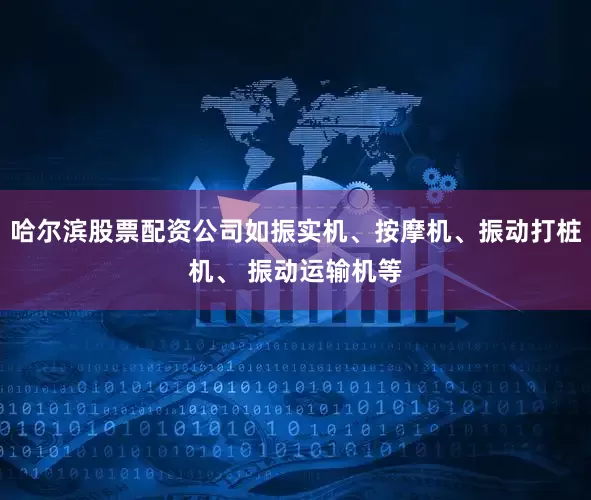 哈尔滨股票配资公司如振实机、按摩机、振动打桩机、 振动运输机等