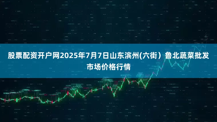 股票配资开户网2025年7月7日山东滨州(六街）鲁北蔬菜批发市场价格行情