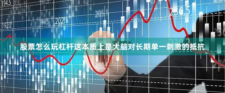 股票怎么玩杠杆这本质上是大脑对长期单一刺激的抵抗