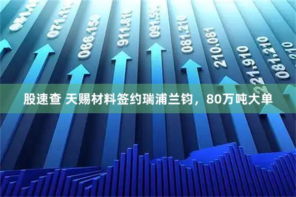 股速查 天赐材料签约瑞浦兰钧，80万吨大单