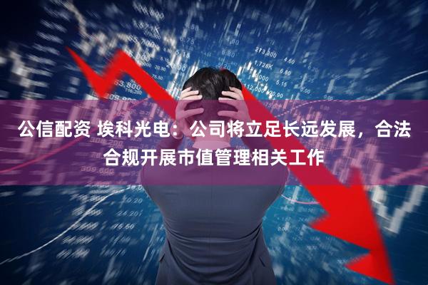 公信配资 埃科光电：公司将立足长远发展，合法合规开展市值管理相关工作